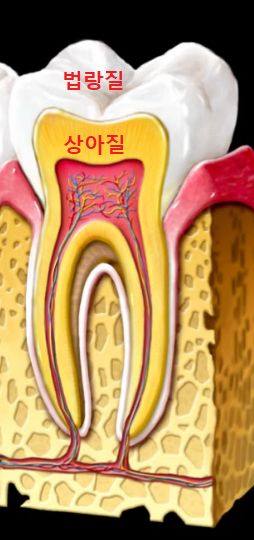 약수역 치과, 치아 미백 1회 방문으로 효과가 있을까?(feat. 원데이 미백) 사진 1